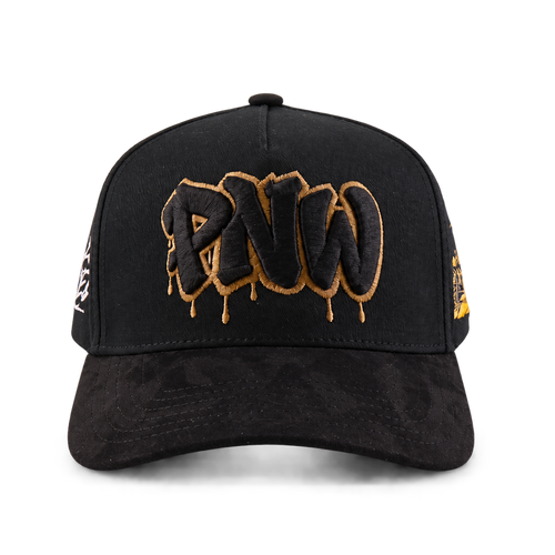 PNW Snapback